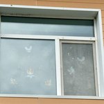 Photo 2025 09 08 12 49 30