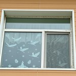 Photo 2025 09 08 12 49 05