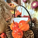 Photo 2025 12 08 09 31 04