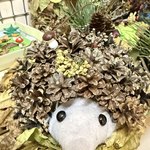 Photo 2025 12 08 09 30 42