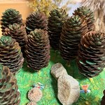 Photo 2025 12 08 09 27 55